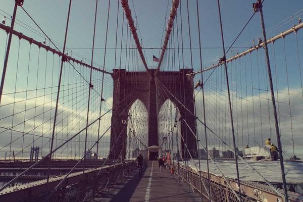 Lee Gifts and Flowers